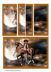 Midnight Cowgirl Tunnel Sheet