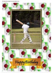 A4 Anyone for Cricket
