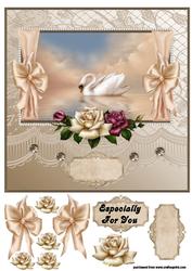Beautiful Swan