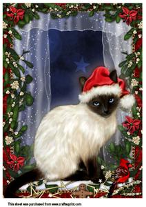A4 Christmas Cat Pyrimage Kit