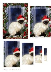 Christmas Cat Pyrimage