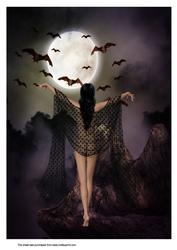 A4 Moonlight Beauty