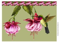 A4 Fushia and Hummingbird
