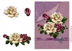 Beautiful Roses