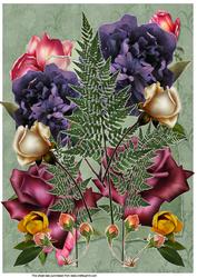 A4 Collage of Flowers 2