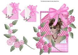 In the Pink Frame