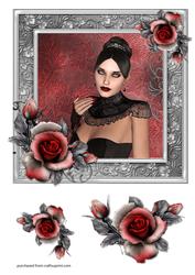 Red Rose Beauty
