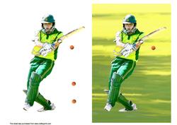 Anyone for Cricket