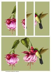 Hummingbird and Fushia Side Stacker