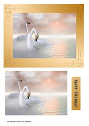 Sunset Swans