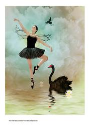 A4 Dancing for the Swan