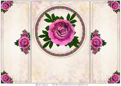 Pink Rose Part 1