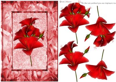 My Red Hibiscus