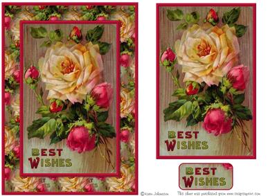Best Wishes - Pink and Yellow Roses
