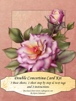 Pink Rose - Concertina