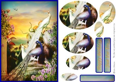 Summer Birds Card Front