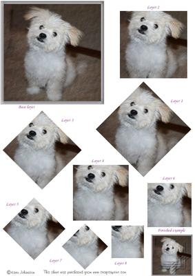 What Not Cute? - Pyrmaid with a Twist