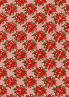 Poinsettia