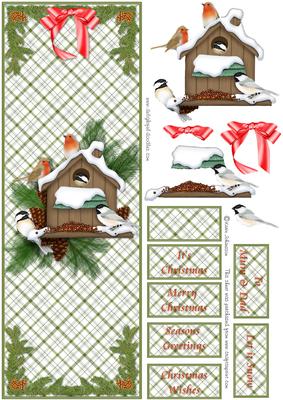 Christmas Bird House - Large Dl Card