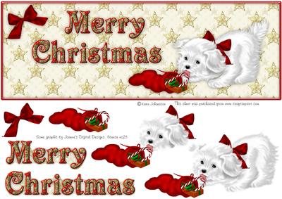 Christmas Cutie - Large Dl