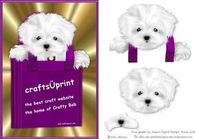 Crafty Dog