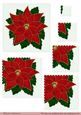 Christmas Poinsettia