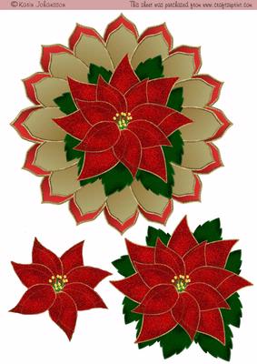Large Poinsettia