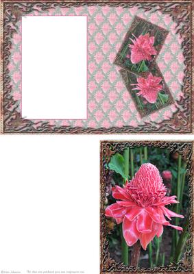 Thai Flower - Print & Fold
