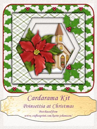 Poinsettia at Christmas
