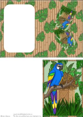 Birdsong in the Morning