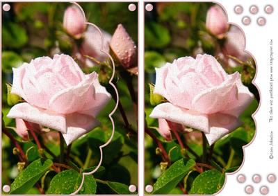 You Are My Rose