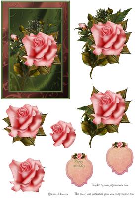 The Pink Rose