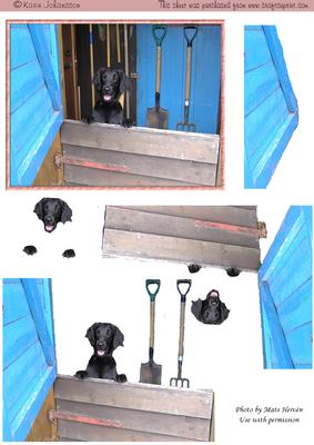 Garden Shed Dog