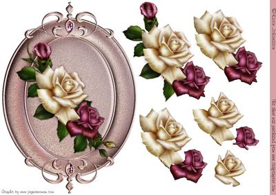 Cream and Purple Rose