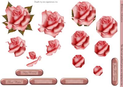 Pink Rose with Babysbreath Step by Step & Pryamid