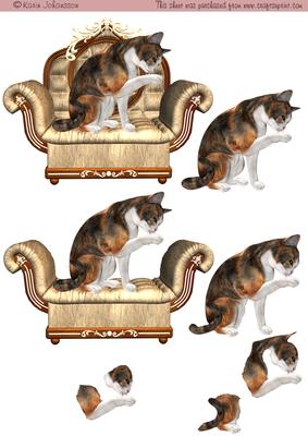 Me and My Chair - Cat