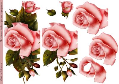 Pink Rose Part 2