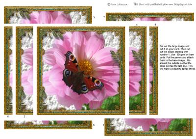 Butterfly and Pink Flower