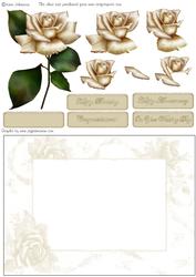 Cream Rose - Year Card Part 2