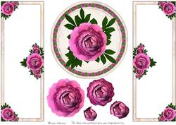 Pink Rose Part 2