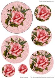 Pink Rose Circle Pyrmaid