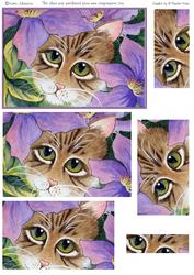 Cat Behind a Clematis