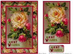 Best Wishes - Pink and Yellow Roses