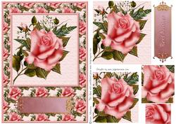 My Pink Rose