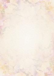 Soft Flower 3