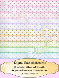Polkadott Ribbons & Buckles