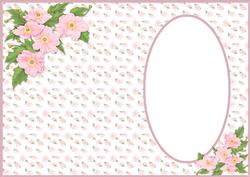 Pink Dogwood