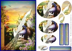 Summer Birds Card Front