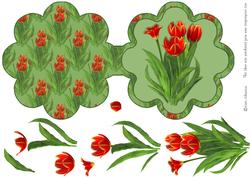 Red Tulips