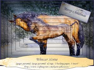 Winter Horse